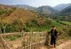 Thailand: Lahu farmer, Chiang Rai